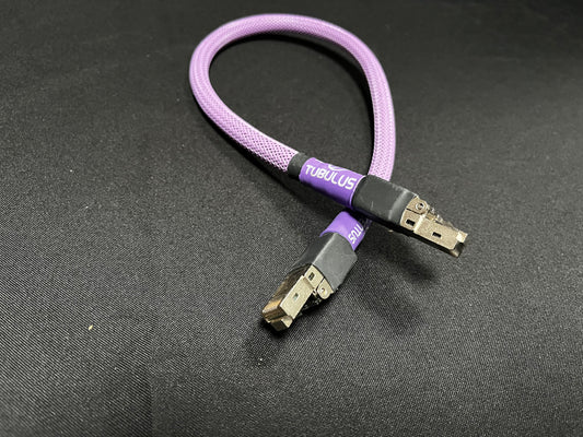Tubulus Concentus i2s cable V2