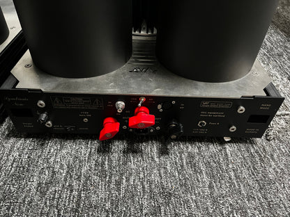 NAT Audio Symbiosis New Mono blocks